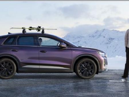 Suport per a esquís i Snowboard per a 6 parells d'esquís o 4 snowboards